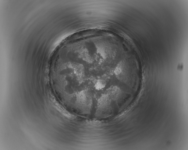 X0000114211019200910231401