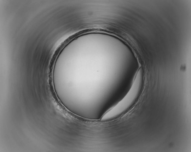 X0000114211020200910231401