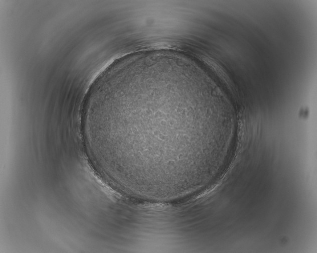 X0000114211023200910231401