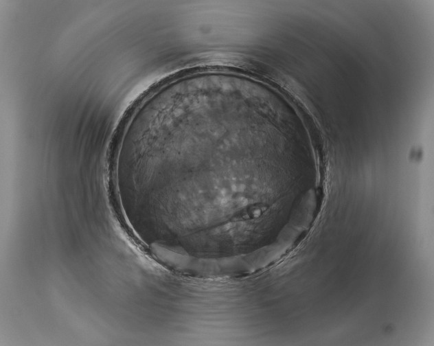X0000114211024200910231401