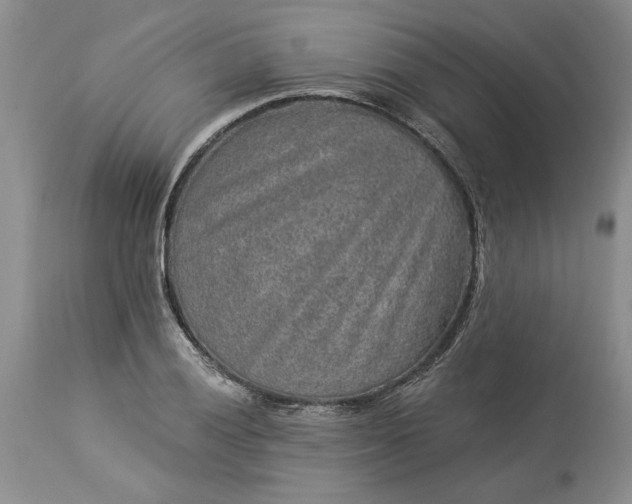 X0000114211028200910231401