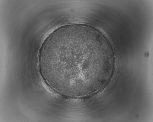 X0000114211031200910231401