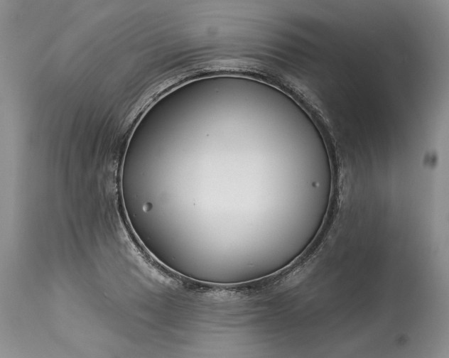 X0000114211033200910231401