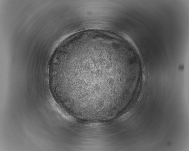 X0000114211035200910231401