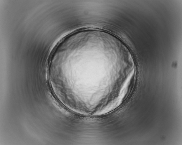 X0000114211036200910231401