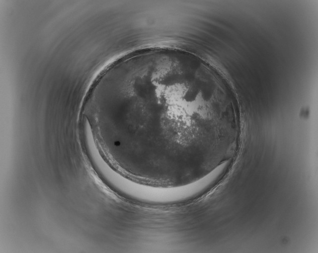 X0000114211037200910231401