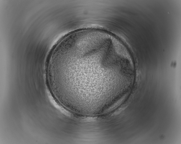 X0000114211038200910231401