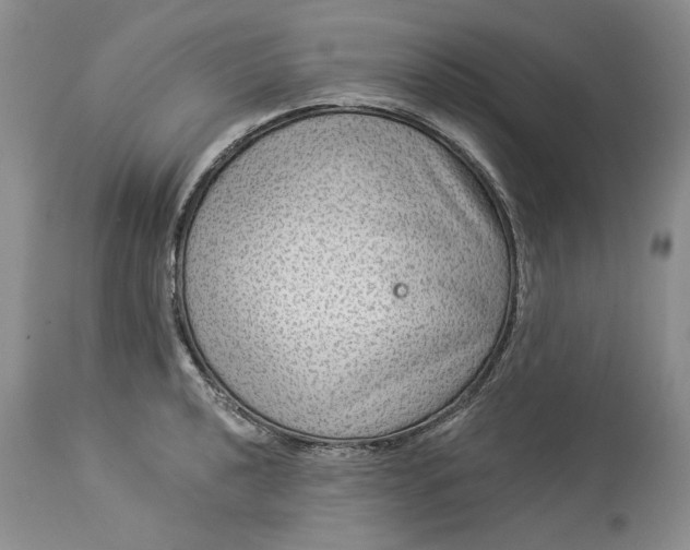 X0000114211040200910231401