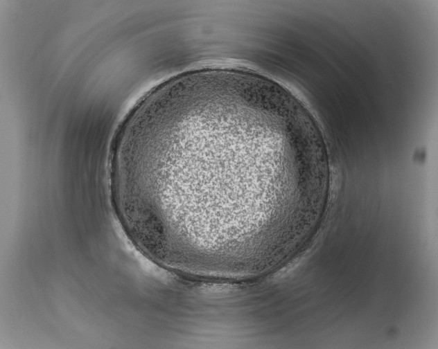 X0000114211046200910231401
