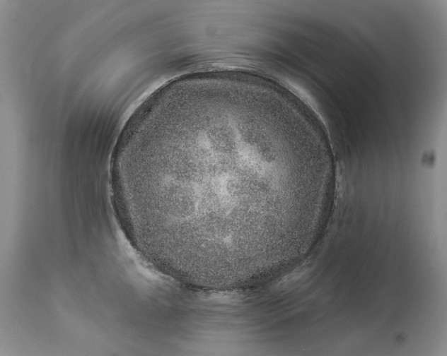 X0000114211047200910231401