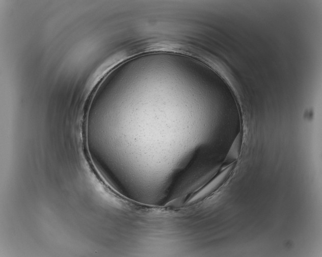 X0000114211050200910231401