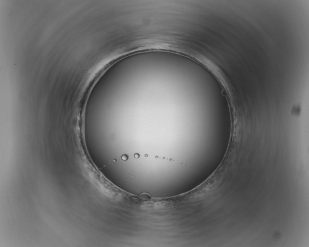X0000114211051200910231402