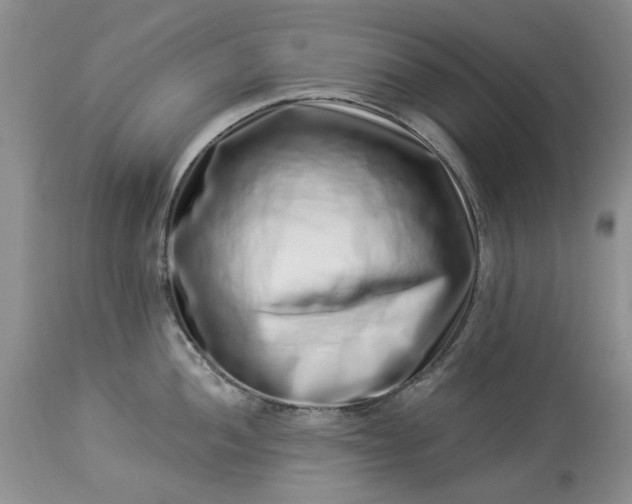 X0000114211052200910231402