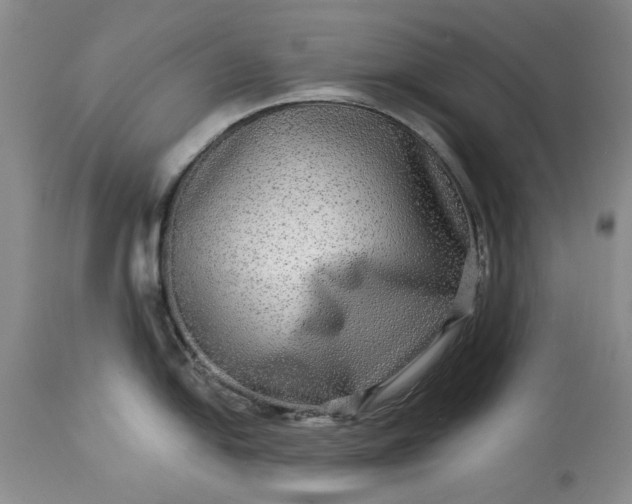 X0000114211054200910231402