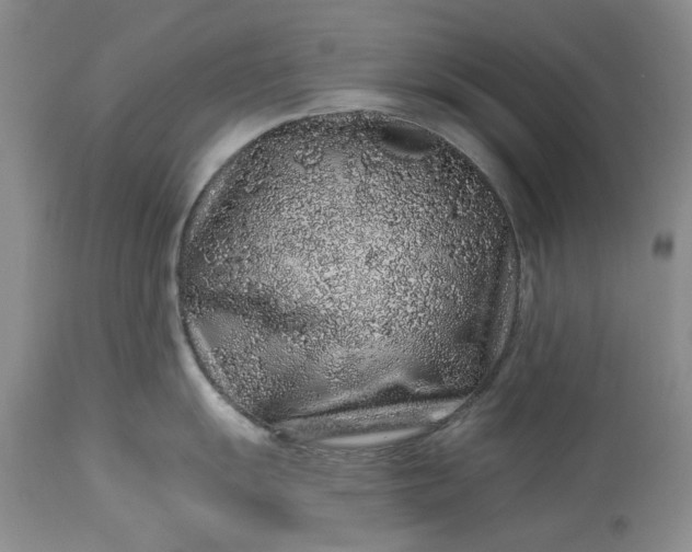 X0000114211055200910231402