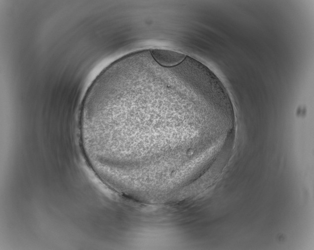 X0000114211056200910231402