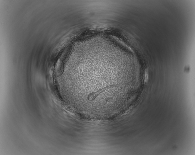 X0000114211059200910231401