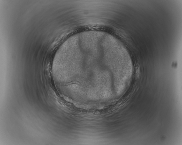 X0000114211060200910231401