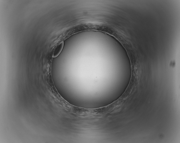 X0000114211061200910231401