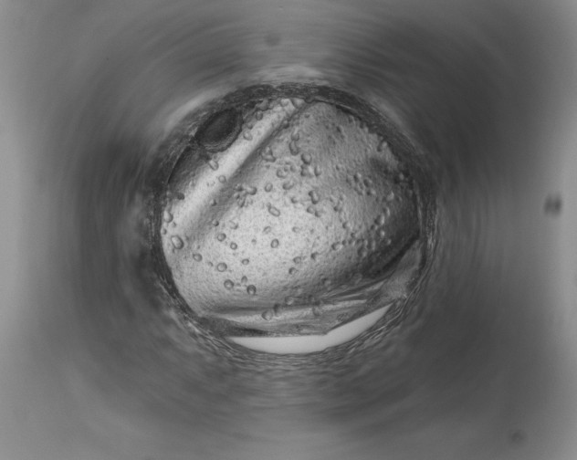 X0000114211063200910231401