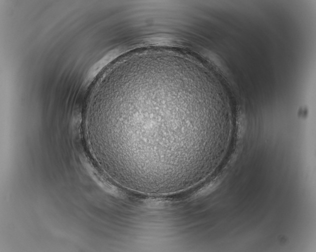X0000114211065200910231401