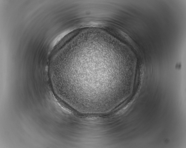 X0000114211066200910231401