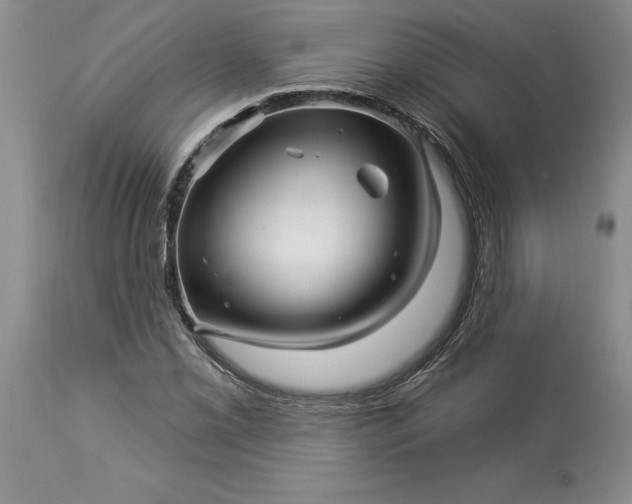 X0000114211069200910231401