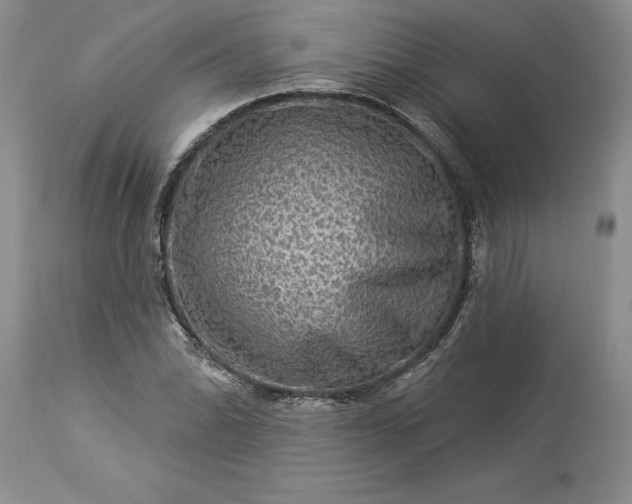 X0000114211070200910231401