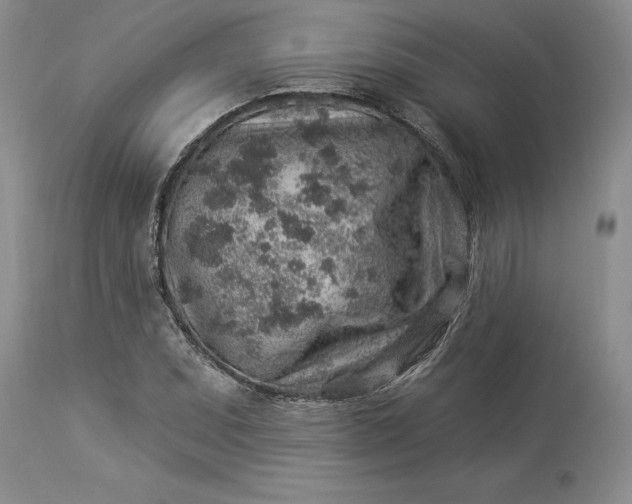 X0000114211071200910231401