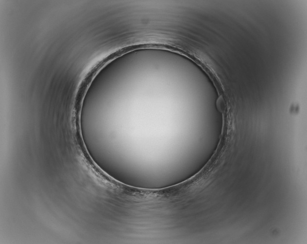 X0000114211072200910231401