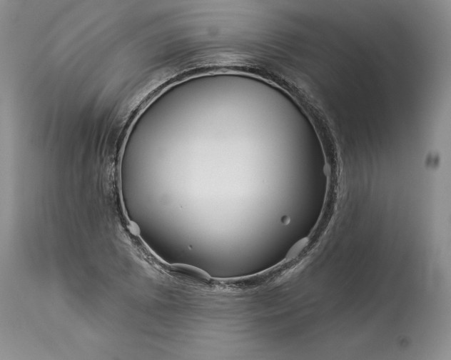 X0000114211073200910231401