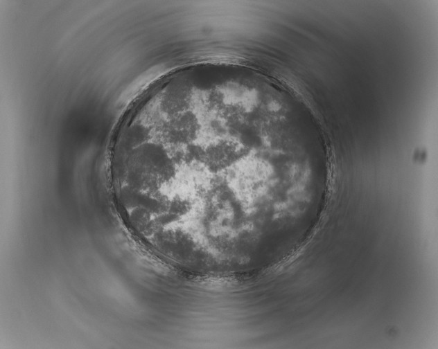X0000114211074200910231401