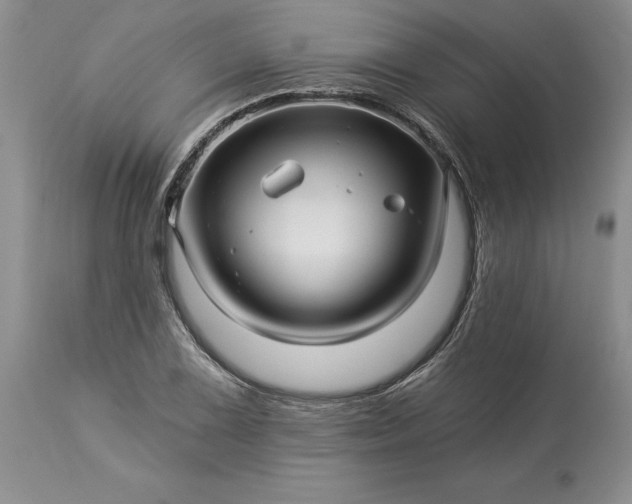 X0000114211075200910231401