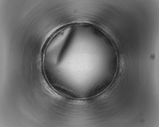 X0000114211076200910231401