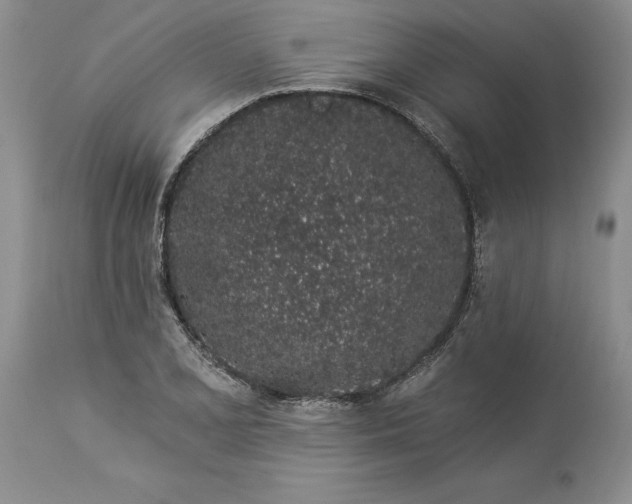 X0000114211077200910231401