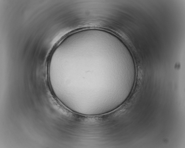 X0000114211078200910231401