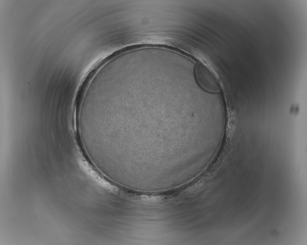 X0000114211080200910231401