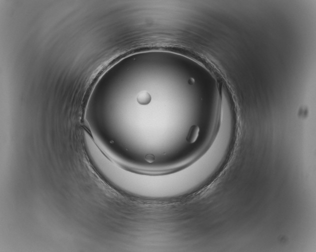 X0000114211081200910231401