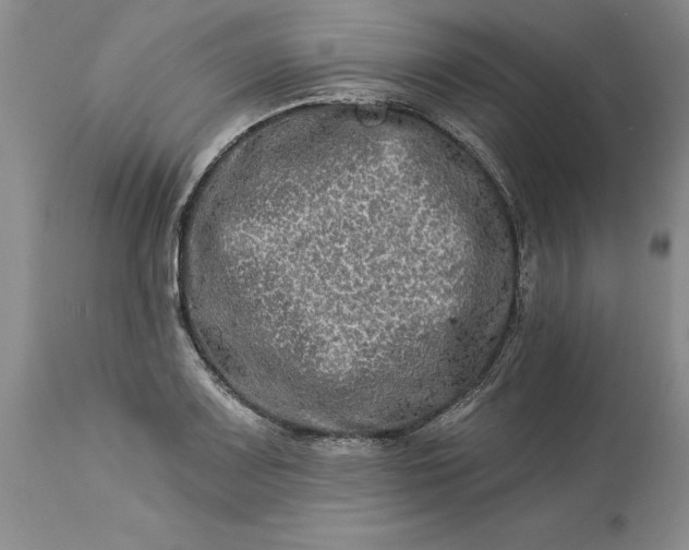 X0000114211083200910231400