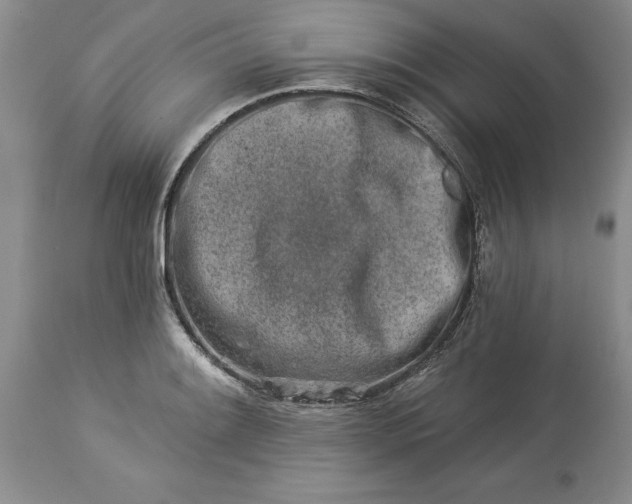 X0000114211084200910231400