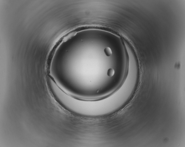 X0000114211085200910231400