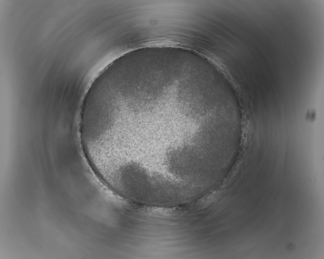 X0000114211086200910231400