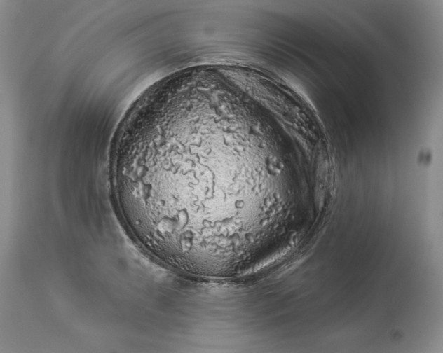 X0000114211087200910231400
