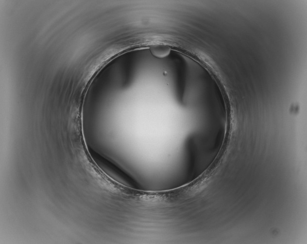 X0000114211089200910231400