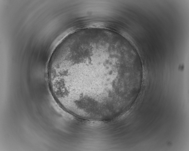 X0000114211090200910231400
