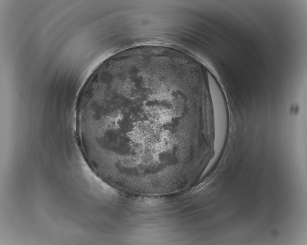 X0000114211095200910231400