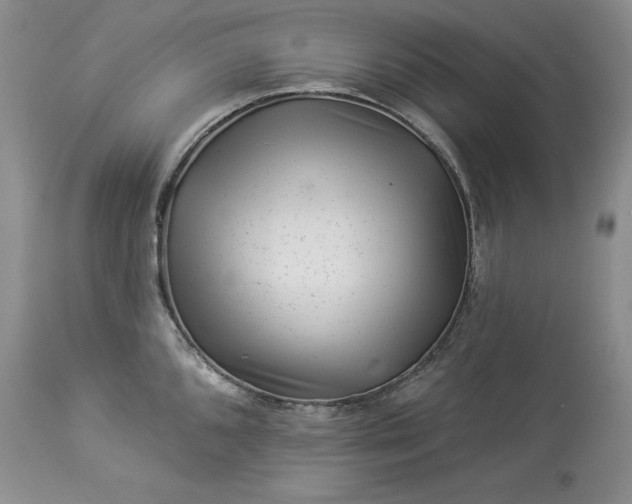X0000114211096200910231400