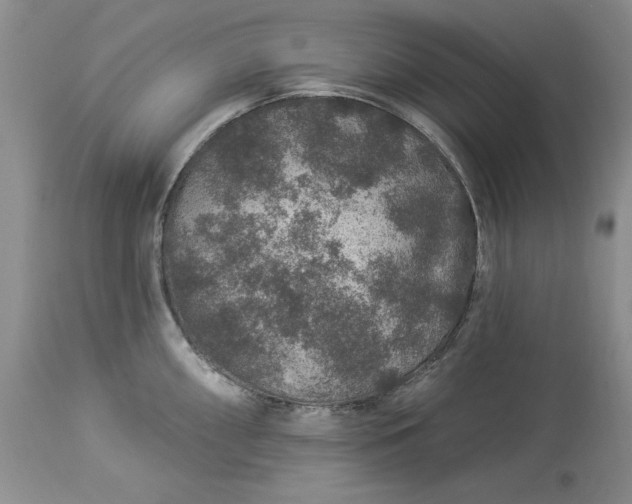 X0000114211098200910231400
