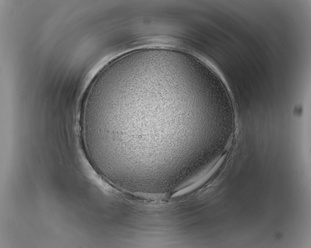 X0000114211099200910231400