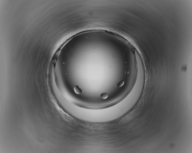 X0000114211101200910231400